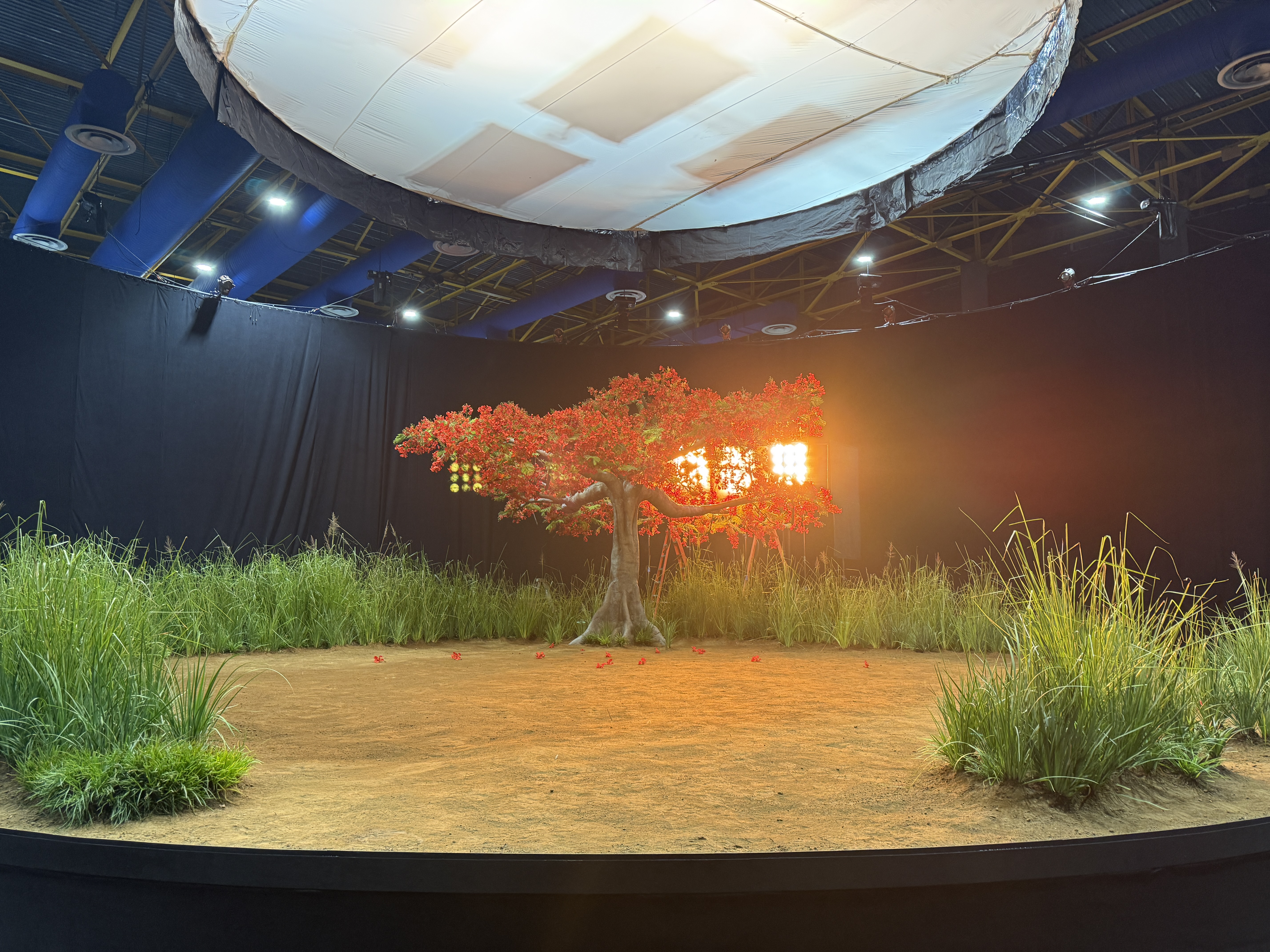 Apple Music — Bad Bunny set