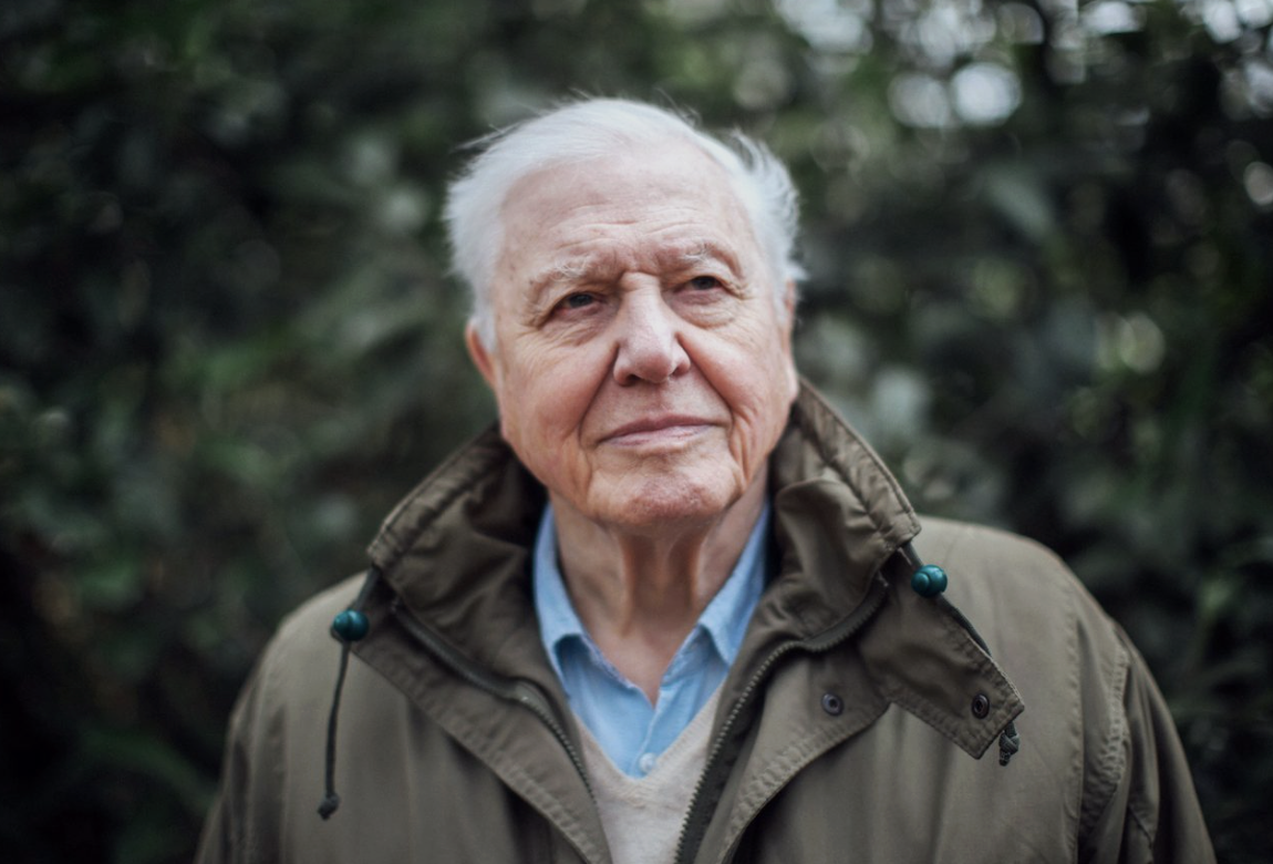 Global Warming: What You Need To Know